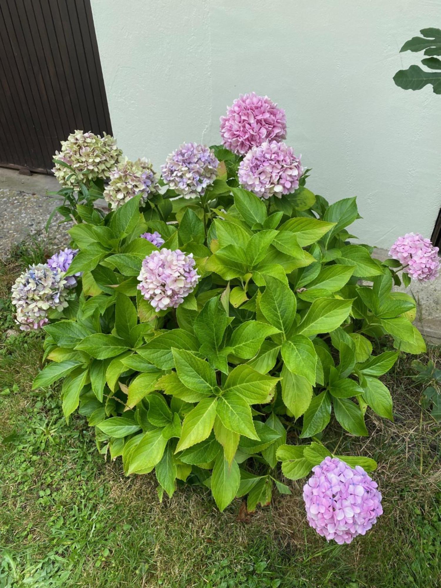 Appartement Avec Jardin Le Porge Exteriér fotografie